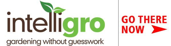 Intelligro